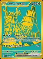 240-wochienex