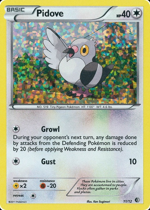 11-pidove