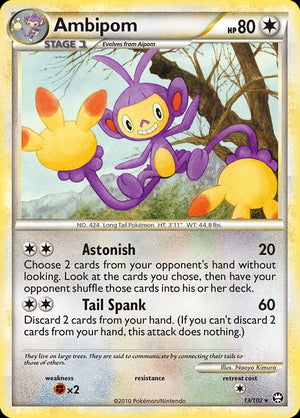 13-ambipom