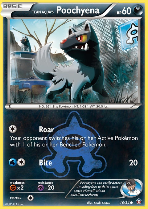 16-teamaquaspoochyena