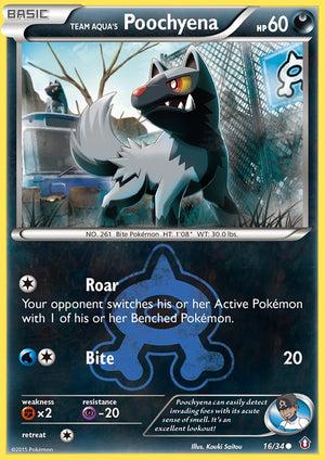 16-teamaquaspoochyena