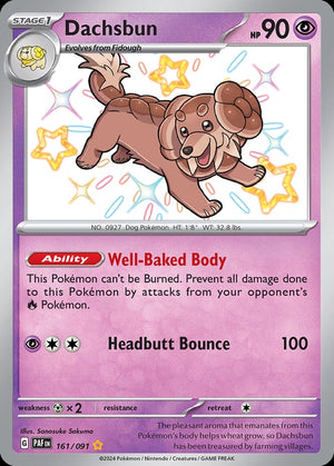161-dachsbun