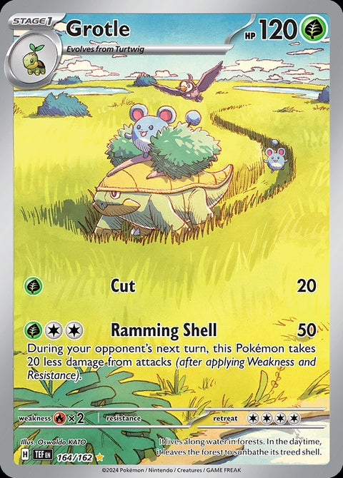 164-grotle