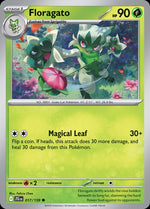 17-floragato