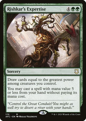 170-rishkarsexpertise