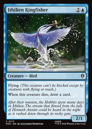 177-ithilienkingfisher