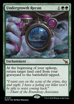 181-undergrowthrecon