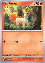 19-ponyta