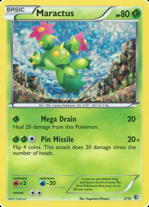 2-maractus