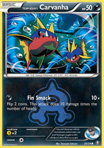 20-teamaquascarvanha