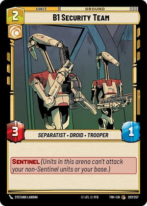 207-b1securityteam