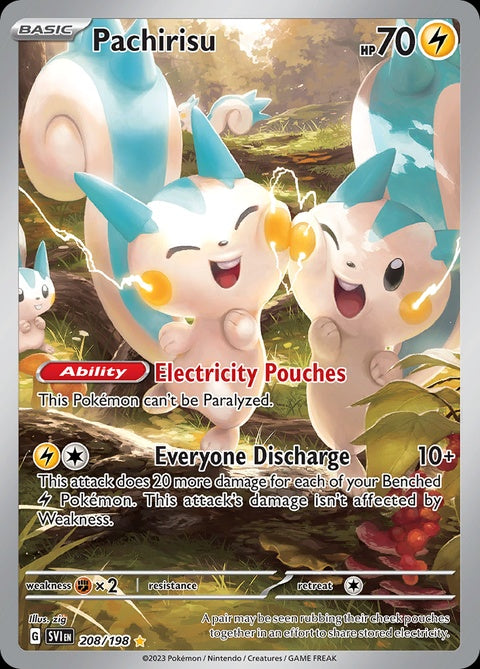 208-pachirisu