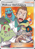 213-professorelmslecture