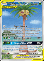 215-rowletalolanexeggutorgx