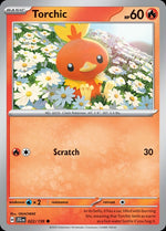 22-torchic