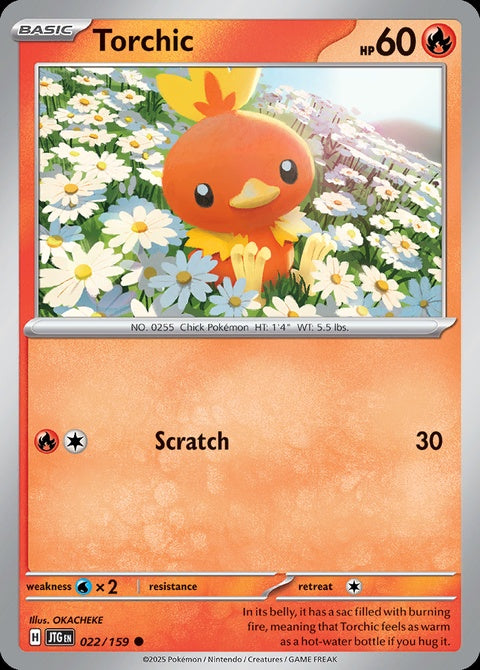 22-torchic