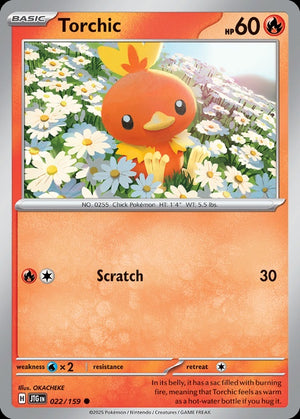 22-torchic