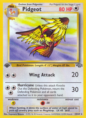 24-pidgeot