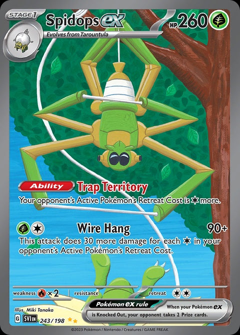 243-spidopsex