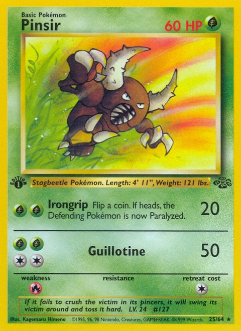 25-pinsir