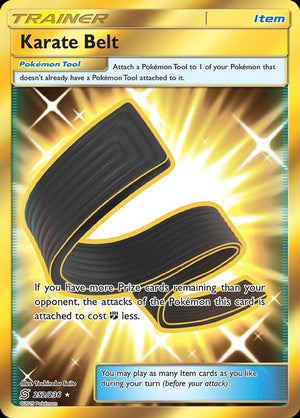252-karatebelt
