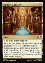 254-pathofancestry