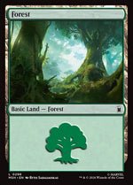 296-forest