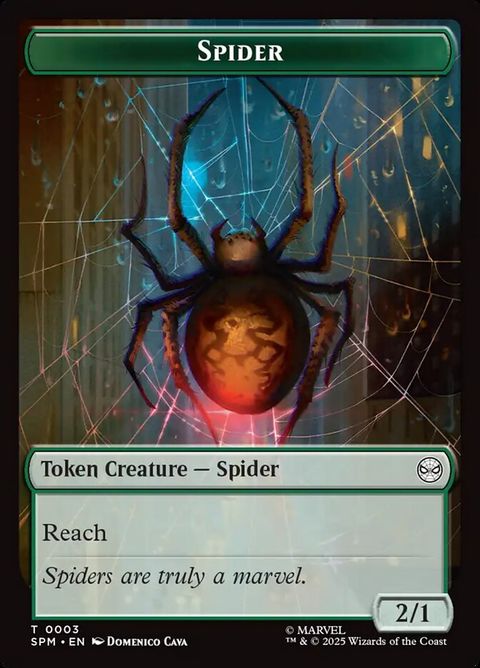3-spider