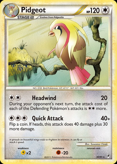 30-pidgeot