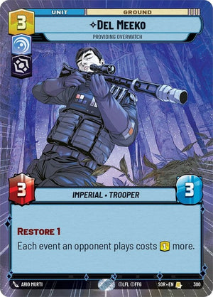 300-delmeeko-providingoverwatch