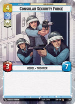 312-consularsecurityforce