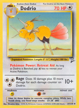 37-dodrio