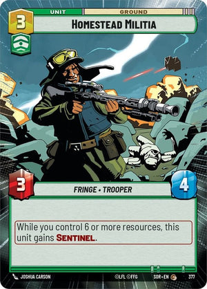 377-homesteadmilitia