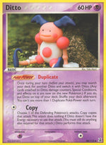 38-ditto