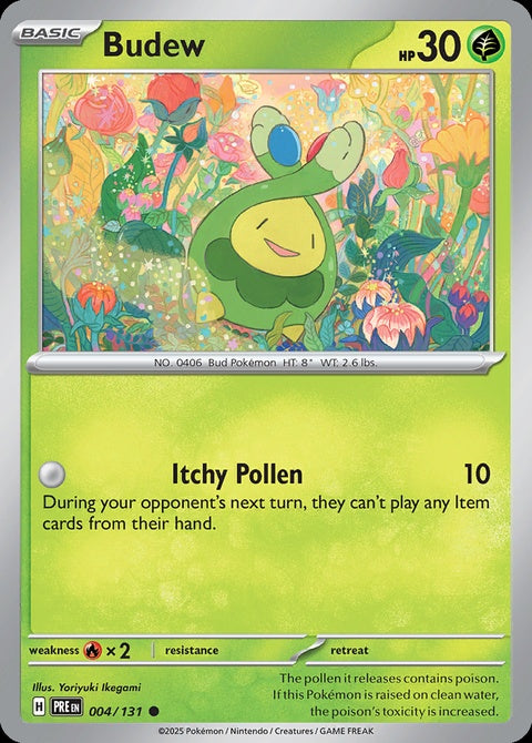 4-budew