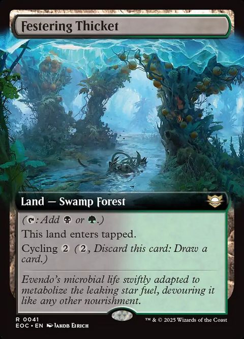 41-festeringthicket