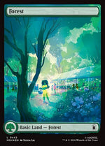 442-forest