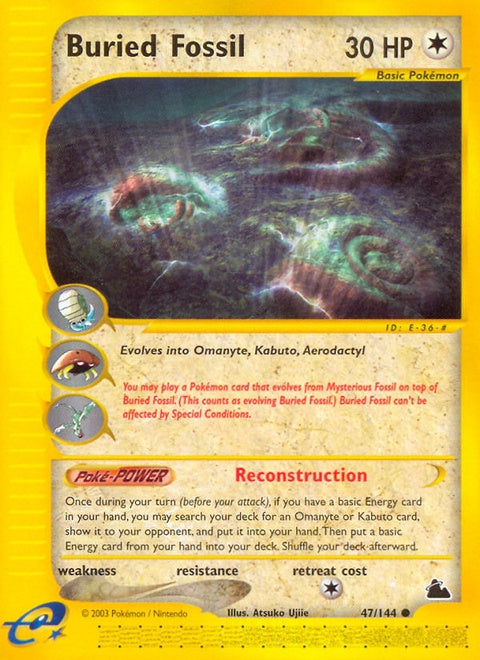 47-buriedfossil