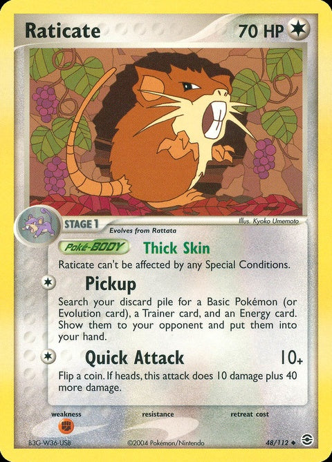 48-raticate