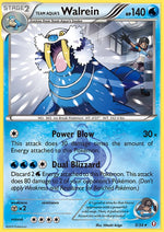 5-teamaquaswalrein