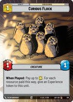 519-curiousflock