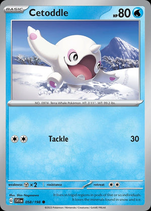 58-cetoddle