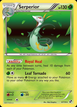 6-serperior