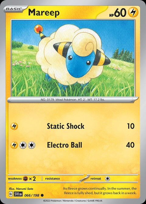 66-mareep