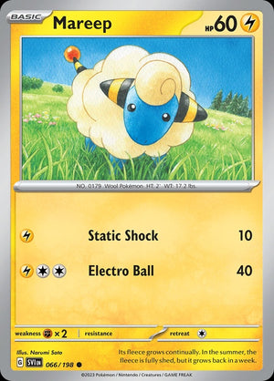 66-mareep