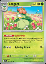7-lilligant