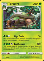 9-torterra