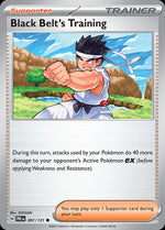 97-blackbeltstraining