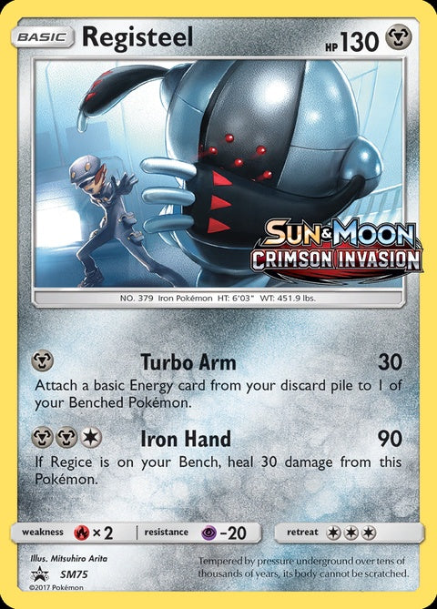 sm75-registeel