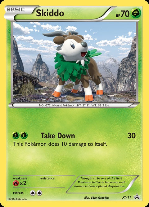 xy11-skiddo
